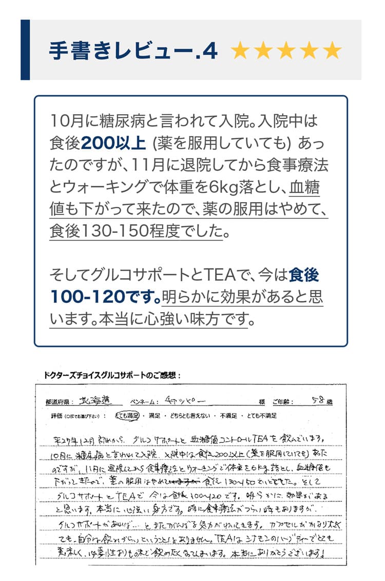 手書きレビュー4の5つ星評価