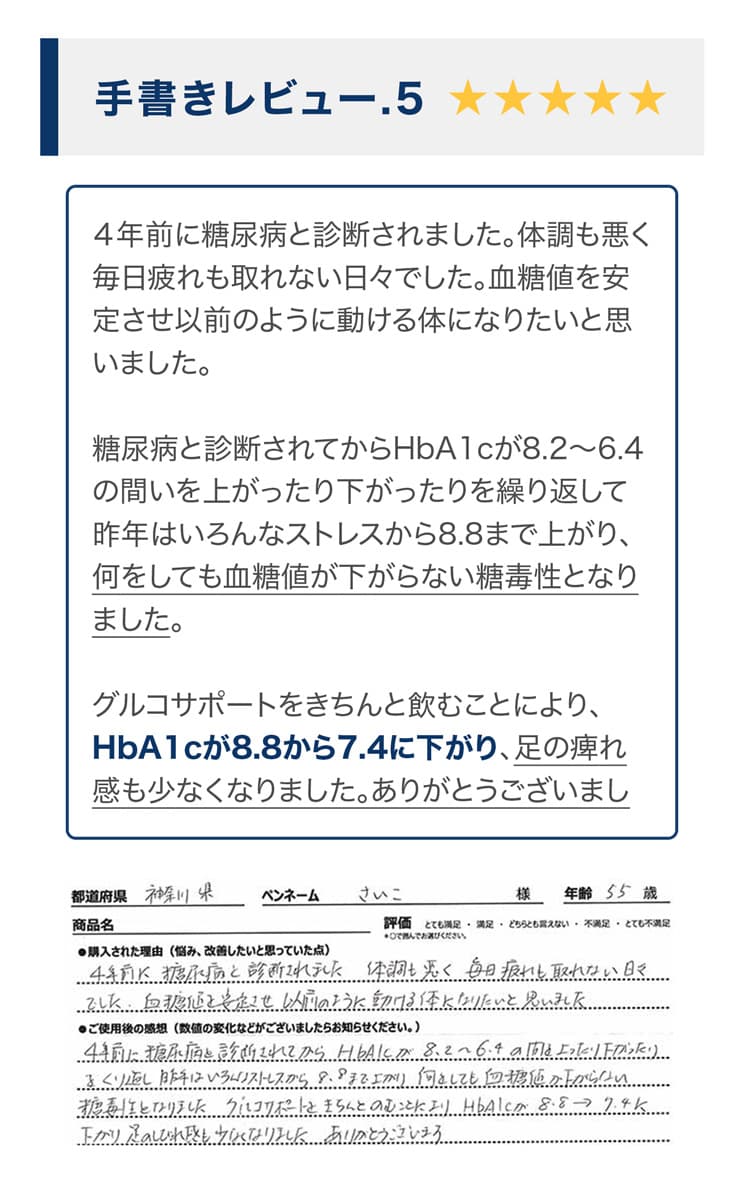 手書きレビュー5の5つ星評価