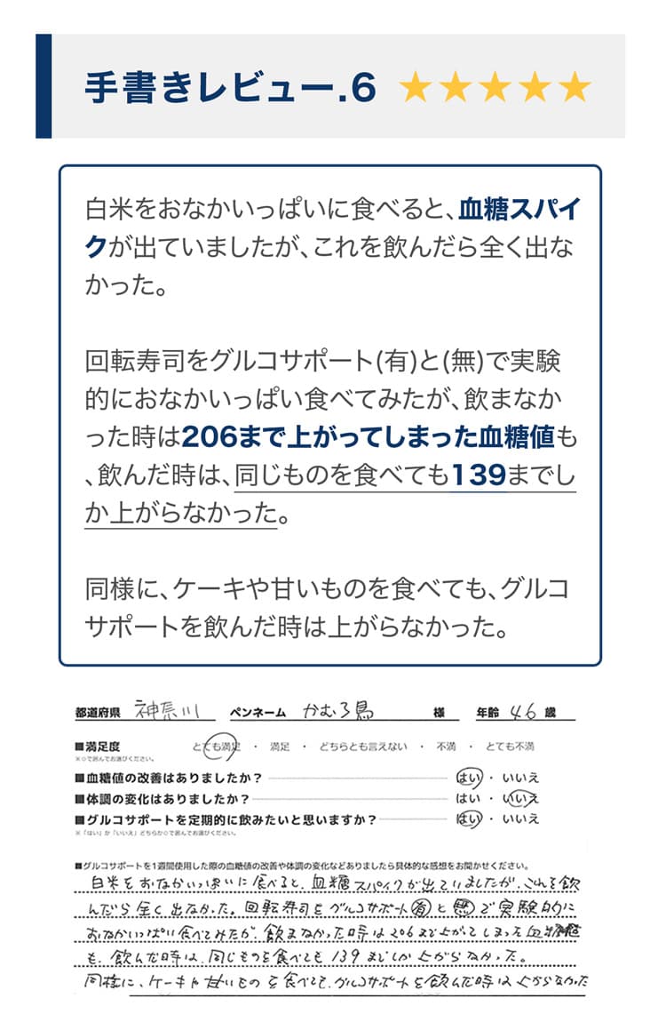 手書きレビュー6の5つ星評価