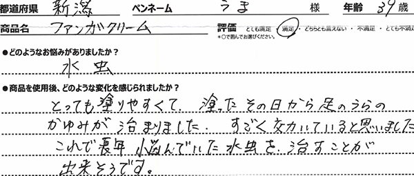 商品レビュー