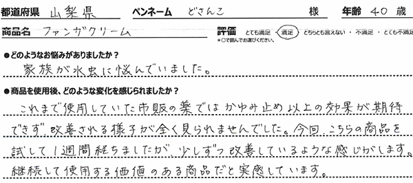 商品レビュー
