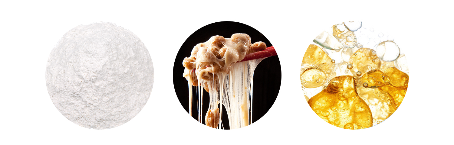 ナットウキナーゼ/セラペプターゼ/リパーゼ