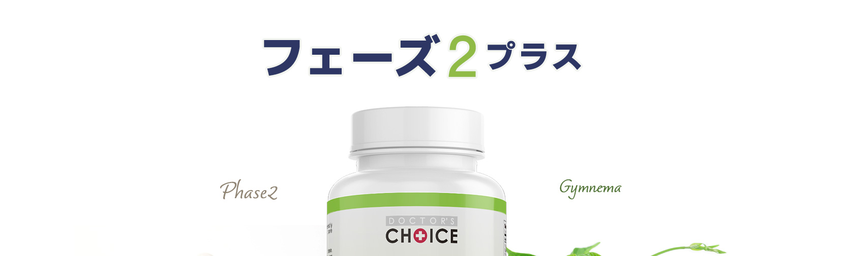フェーズ２