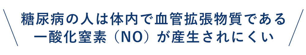 糖尿病の人は体内で血管拡張物質である一酸化窒素（NO）が産生されにくい