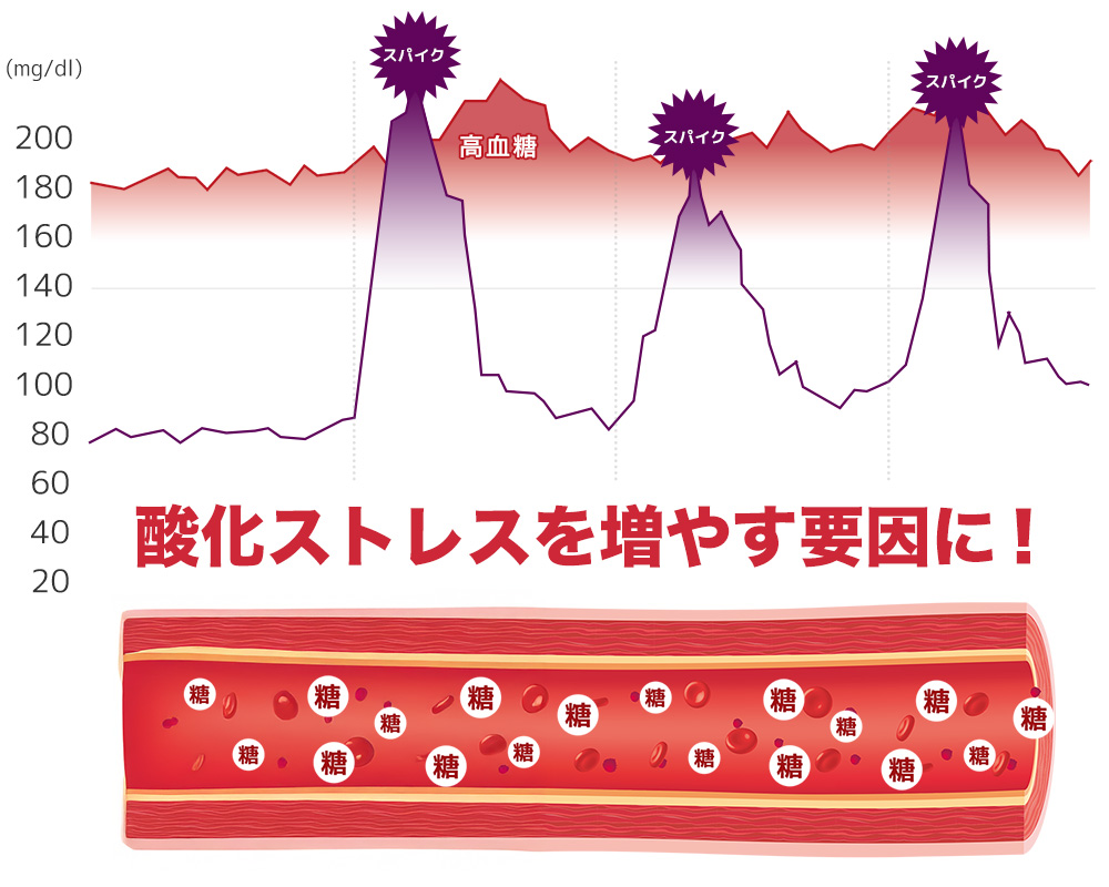高血糖状態が続くと、体内で活性酸素が増え、酸化ストレスが溜まりやすいことが複数の研究で報告※されています