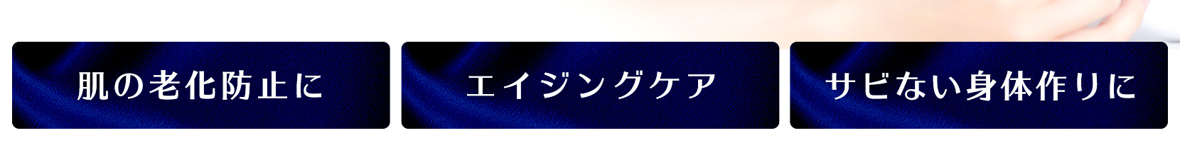 ドクターズチョイス N-アセチルシステイン プラス