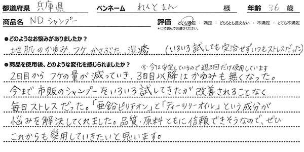 レビュー