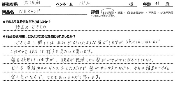 レビュー