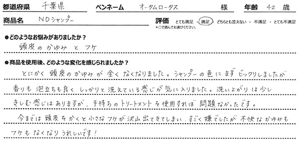 レビュー