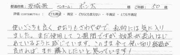 レビュー