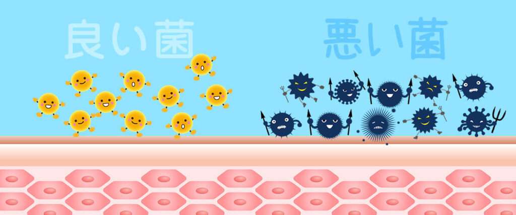 善玉菌悪玉菌戦い