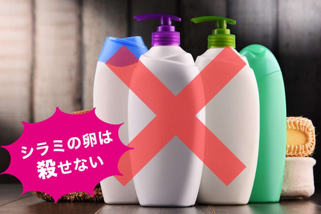 シラミの卵は殺せない