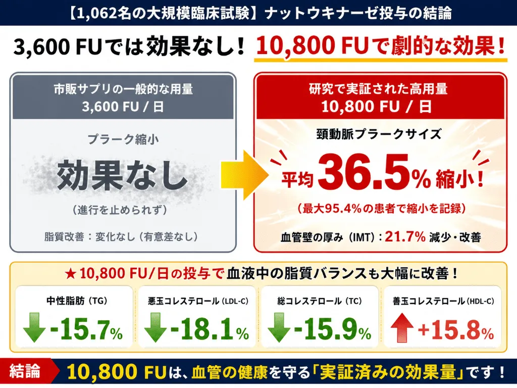 「1062名の大規模臨床試験」ナットウキナーゼ投与の結論