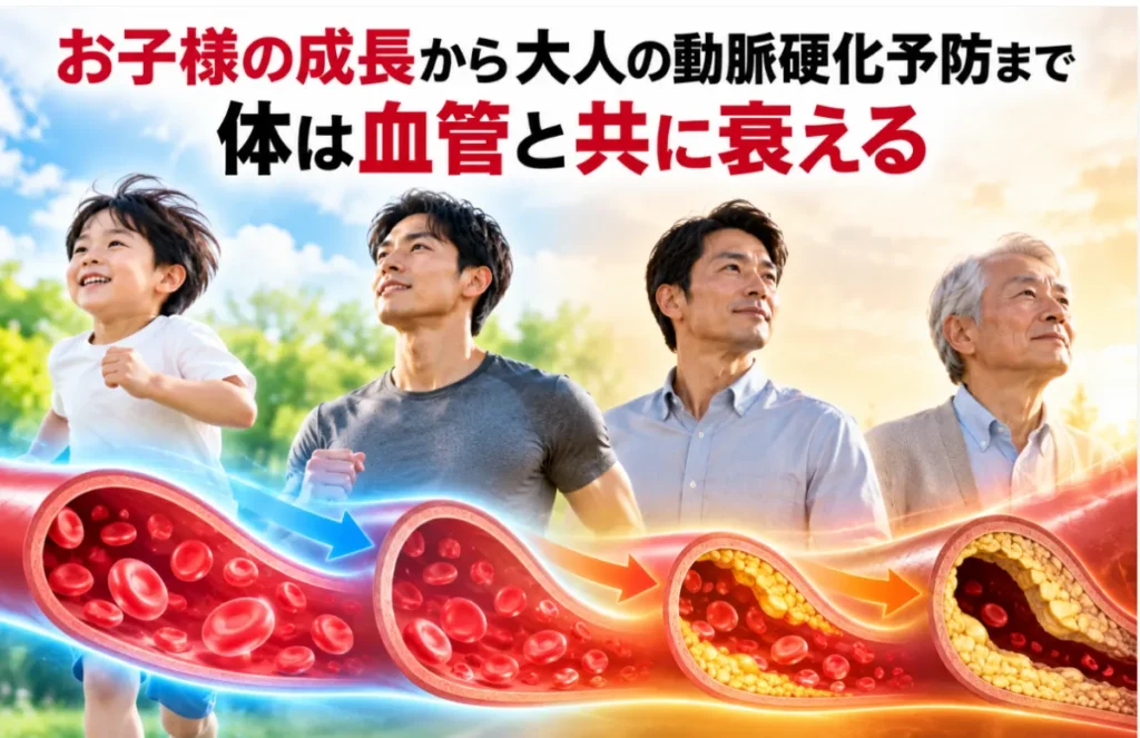 お子様の成長から大人の動脈硬化予防まで体は血管と共に衰える